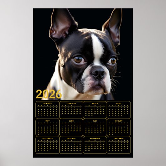 Boston Terrier 2026 Kalender Poster (Vorne)