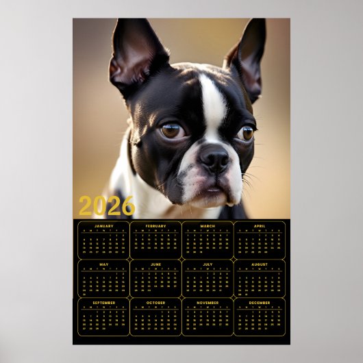 Boston Terrier 2026 Kalender Poster (Vorne)