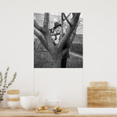 Boston Terrier, 20er Poster (Küche)