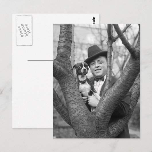 Boston Terrier, 20er Postkarte (Vorne/Hinten)