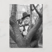 Boston Terrier, 20er Postkarte (Vorderseite)