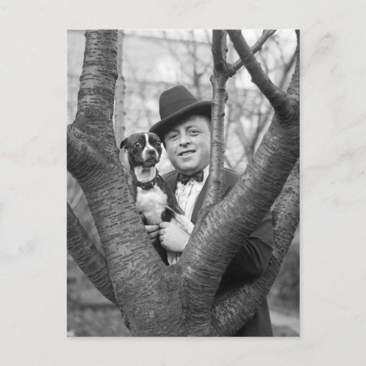 Boston Terrier, 20er Postkarte (Vorderseite)