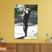 Boston Terrier 2 Leinwanddruck (Insitu (Wohnzimmer))