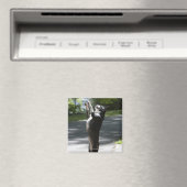 Boston Terrier 2 Magnet (In Situ (Geschirrspüler))