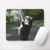 Boston Terrier 2 Mousepad (Mit Mouse)