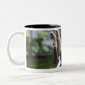 Boston Terrier 2 Zweifarbige Tasse (Links)