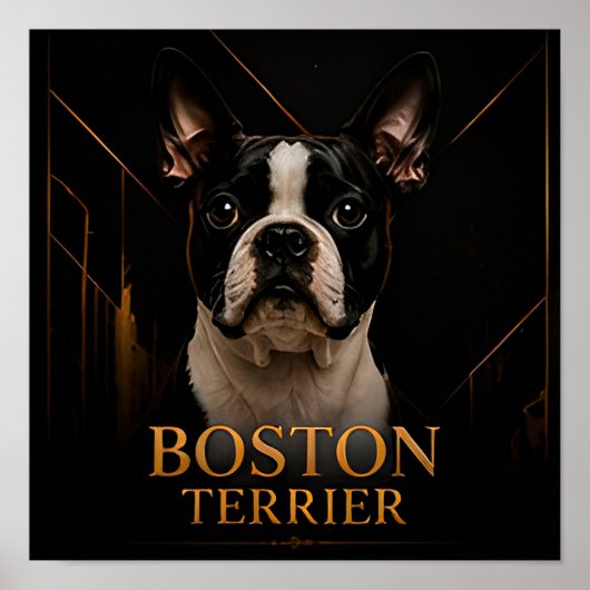 Boston Terrier American Classic Kollektion Poster (Vorne)