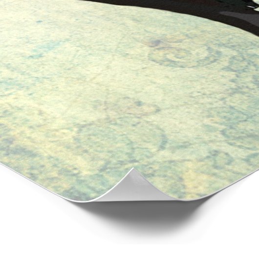 Boston Terrier and Crown Poster (Ecke)