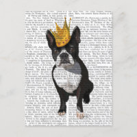 Boston Terrier and Crown