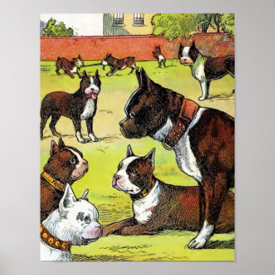 Boston Terrier and Puppies Vintag Illustration Poster