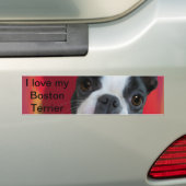 Boston Terrier Autoaufkleber (Auf Auto)