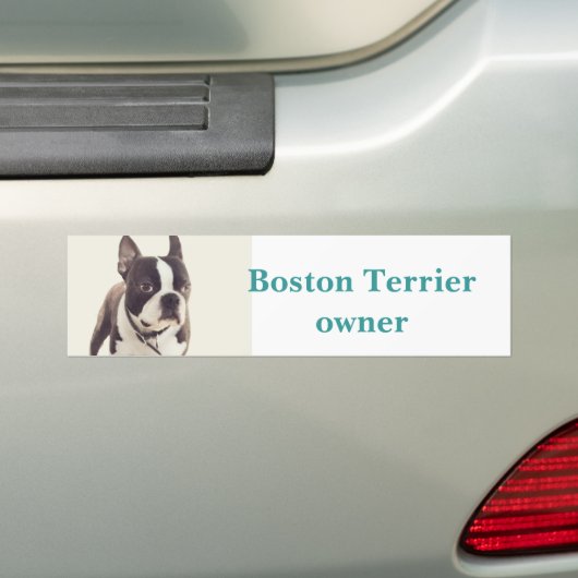 Boston-Terrier Autoaufkleber (Auf Auto)