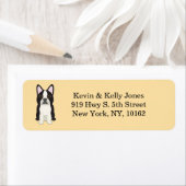 Boston Terrier beige (Insitu)