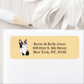 Boston Terrier beige (Insitu)