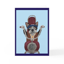 Boston Terrier Biker auf Motorrad