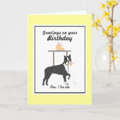 Boston Terrier Birthday Card Karte (Gelbe Blume)