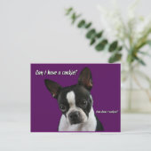 Boston Terrier: Bitte Cookie? Postkarte (Stehend Vorderseite)