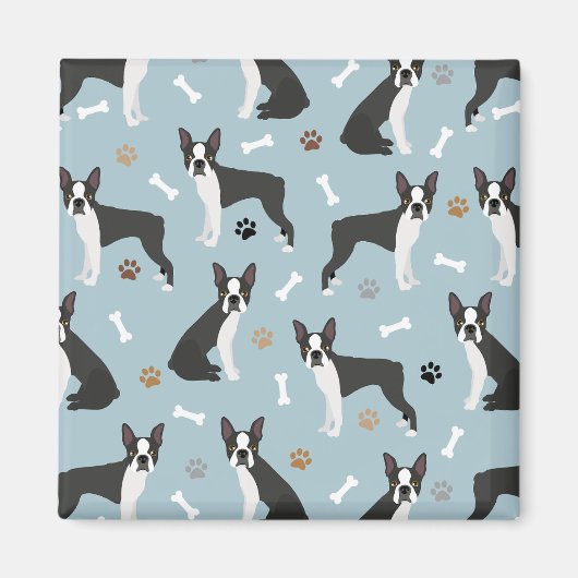 Boston Terrier Bones and Paws Magnet (Vorne)
