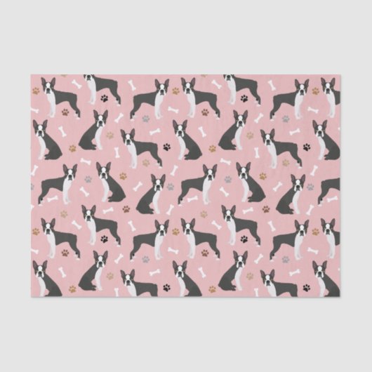 Boston Terrier Bones and Paws Tissue Paper Seidenpapier (Vorderseite)