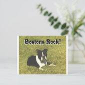 Boston Terrier:  Bostons Rock Postkarte (Stehend Vorderseite)