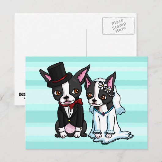 Boston Terrier Bride und Groom Postkarte (Vorne/Hinten)