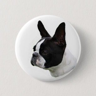 Boston Terrier Button