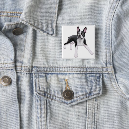 Boston-Terrier-Button Button (Beispiel)