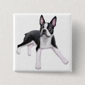 Boston-Terrier-Button Button (Vorderseite)