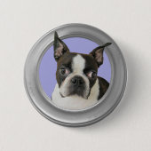 BOSTON TERRIER-BUTTON BUTTON (Vorderseite)