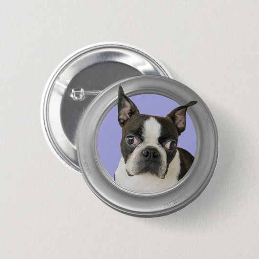BOSTON TERRIER-BUTTON BUTTON (Vorne & Hinten)