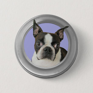 BOSTON TERRIER-BUTTON BUTTON