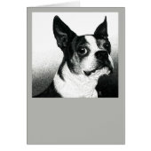 Boston Terrier Card - "Boston Style" (Vorne)