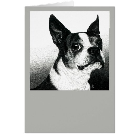 Boston Terrier Card - "Boston Style" (Vorne)