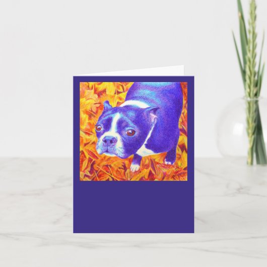 Boston Terrier Card - "Daisy" Karte (Vorderseite)