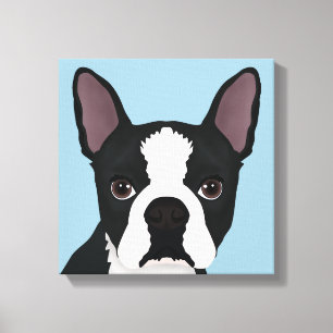 Boston Terrier Cartoon Leinwanddruck