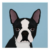 Boston Terrier Cartoon Poster (Vorderseite)