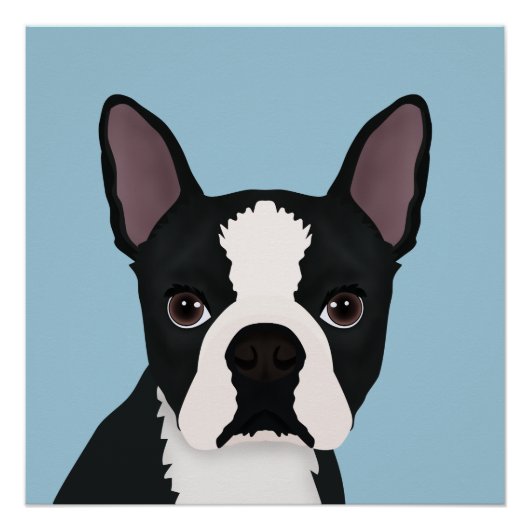 Boston Terrier Cartoon Poster (Vorderseite)