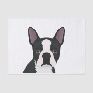 Boston-Terrier-Cartoon Seidenpapier