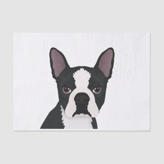 Boston-Terrier-Cartoon Seidenpapier (Vorderseite)