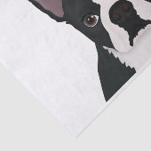 Boston-Terrier-Cartoon Seidenpapier (Ausschnitt)