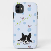 Boston Terrier
