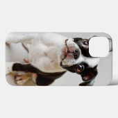 Boston Terrier Case-Mate iPhone Hülle (Rückseite (Horizontal))
