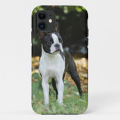 Boston Terrier Case-Mate iPhone Hülle (Rückseite)