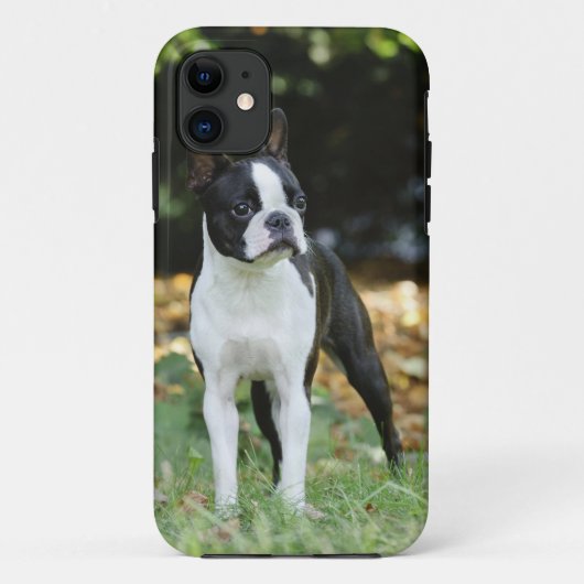 Boston Terrier Case-Mate iPhone Hülle (Rückseite)