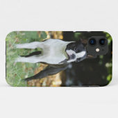 Boston Terrier Case-Mate iPhone Hülle (Rückseite (Horizontal))