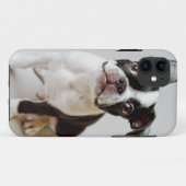 Boston Terrier Case-Mate iPhone Hülle (Rückseite (Horizontal))