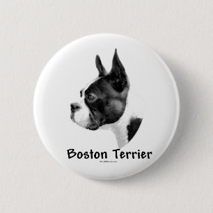 Boston Terrier Charcoal 2 - Button