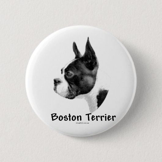 Boston Terrier Charcoal 2 - Button (Vorderseite)
