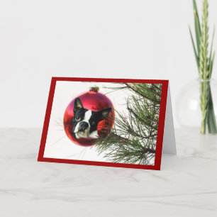 Boston Terrier Christmas Card Ball Feiertagskarte