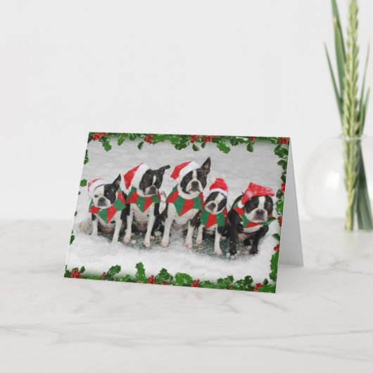 Boston Terrier Christmas Card Feiertagskarte (Vorderseite)